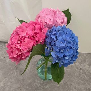 오렌지실버님이 올린 리뷰 사진 1