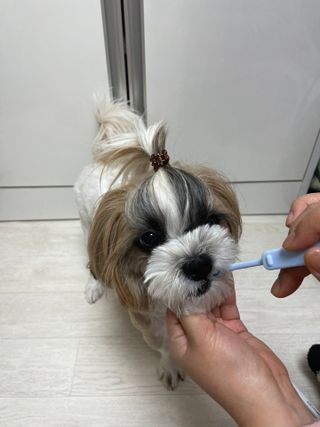 라라통통님이 올린 리뷰 사진 1