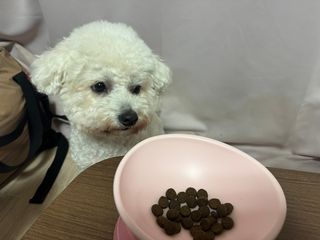 김채원님이 올린 리뷰 사진 2