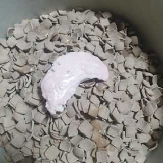 도그퓨어 푸드닭 강아지 닭고기 통살 애견간식 오리지널/차전자피/초록입홍합 — 5점을 준 리뷰어가 2021년 11월 올린 사용 사진