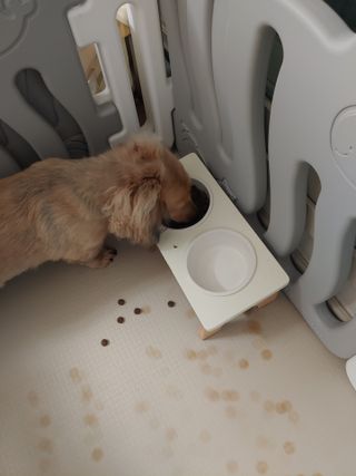 치토스님이 올린 리뷰 사진 3