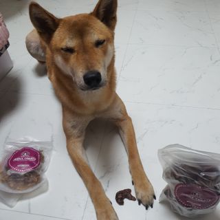 루비님이 올린 리뷰 사진 4
