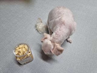 힝구님이 올린 리뷰 사진 4