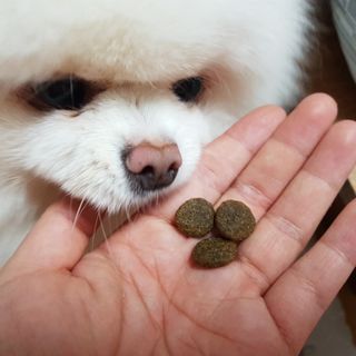 비니씨님이 올린 리뷰 사진 3