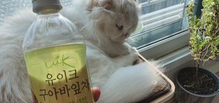 소담스퀘어 상암 제로카페인x제로칼로리 제주 유기농 유이크 구아바잎차 500ml x 6개입 (1박스) — 5점을 준 리뷰어가 2022년 11월 올린 사용 사진