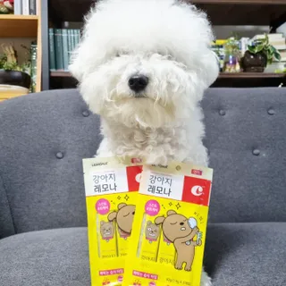 [레모나] 강아지 레모나 강아직 영양 간식 4종 택 1 — 5점을 준 리뷰어가 2023년 12월 올린 사용 사진