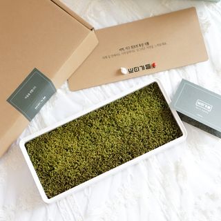 마이블리님이 올린 리뷰 사진 2