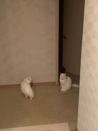 례진님이 올린 리뷰 사진 2