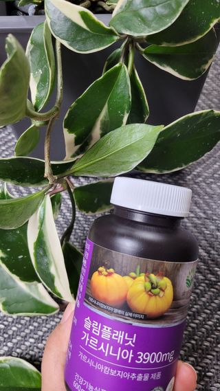 슬림플래닛 가르시니아 3900mg — 5점을 준 리뷰어가 2021년 11월 올린 사용 사진