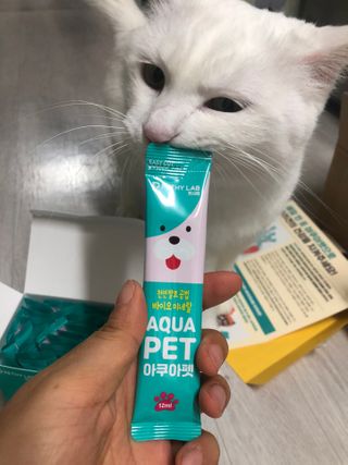 펫시랩 반려견용 액상 프리바이오틱스 아쿠아펫 — 5점을 준 리뷰어가 2021년 1월 올린 사용 사진