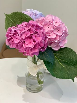 꿈꾸는율님이 올린 리뷰 사진 1
