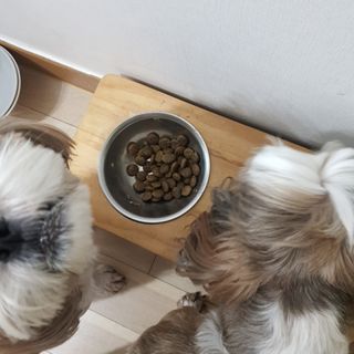 민준맘님이 올린 리뷰 사진 2