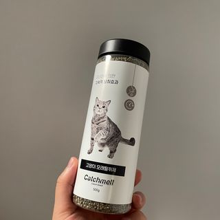 정아님이 올린 리뷰 사진 2