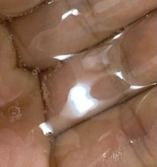 마리앤루이펫샴푸 [mari and louie pet shampoo] — 5점을 준 리뷰어가 2021년 5월 올린 사용 사진
