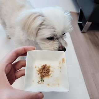 소중하비님이 올린 리뷰 사진 3