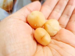 도이퉁 마카다미아 넛 90g 3EA 마카넛 오리지널 쏠트 허니 — 4.5점을 준 리뷰어가 2021년 6월 올린 사용 사진