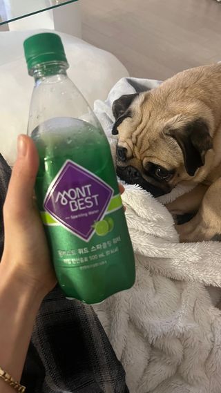 몽베스트 Montbest with Sparkling water Lime20병 — 5점을 준 리뷰어가 2023년 1월 올린 사용 사진