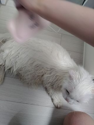 하루님이 올린 리뷰 사진 1