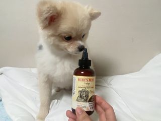 촵촵님이 올린 리뷰 사진 3