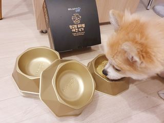 좋아님이 올린 리뷰 사진 1