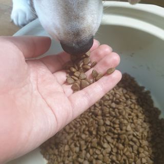 beaglelove님이 올린 리뷰 사진 3