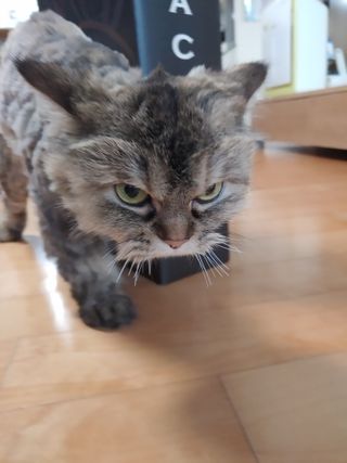 햇님달님님이 올린 리뷰 사진 4