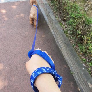 사랑해안시영님이 올린 리뷰 사진 3