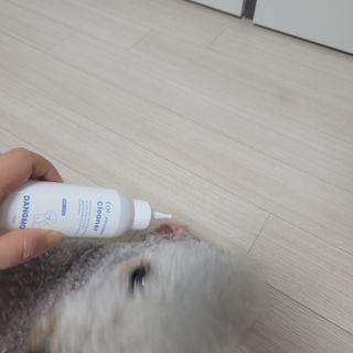 [댕모어 클리너 3종] 아이클리너 / 이어클리너 / 덴탈클리너 3종 세트 (120ml) — 4점을 준 리뷰어가 2023년 9월 올린 사용 사진