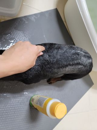 아로님이 올린 리뷰 사진 4