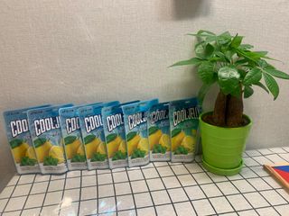 롬님이 올린 리뷰 사진 1