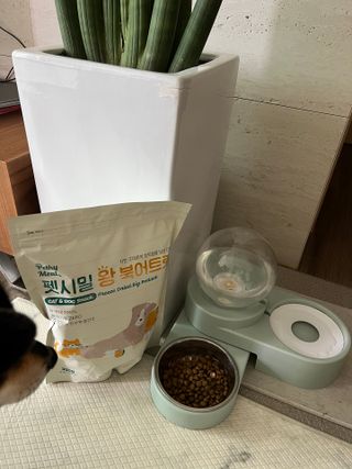 [펫시밀] 원물그대로 영양듬뿍 동결건조 왕북어트릿300g,왕치킨트릿400g,열빙어트릿300g 대용량 간식 — 5점을 준 리뷰어가 2023년 5월 올린 사용 사진