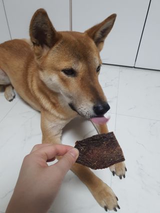 루비님이 올린 리뷰 사진 1