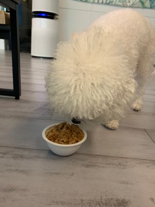 큐티윤님이 올린 리뷰 사진 4