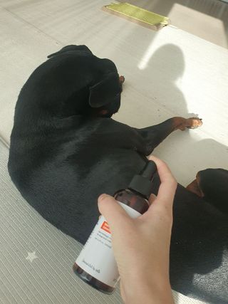 강민지님이 올린 리뷰 사진 2