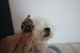 김가경님이 올린 리뷰 사진 3