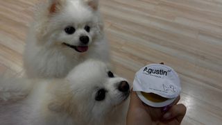 EunJin님이 올린 리뷰 사진 1