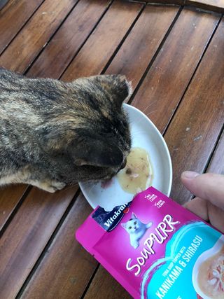 비타크래프트 고양이 수프 50g 3가지맛 x4팩씩 총 12팩 — 5점을 준 리뷰어가 2021년 8월 올린 사용 사진