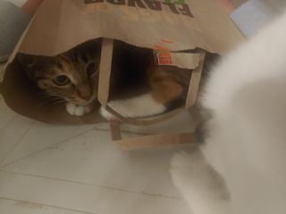 이누닷님이 올린 리뷰 사진 3