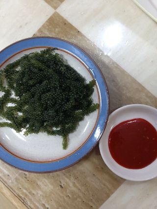 [피터씨마켓] 바다포도 100g(20g x 5봉) 우미부도 그린캐비어 ASMR 소분포장 — 5점을 준 리뷰어가 2024년 8월 올린 사용 사진