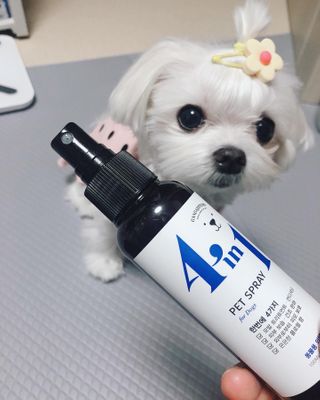 뚜덩맘님이 올린 리뷰 사진 4
