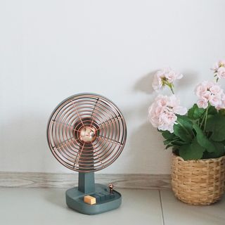 콘콘님이 올린 리뷰 사진 2
