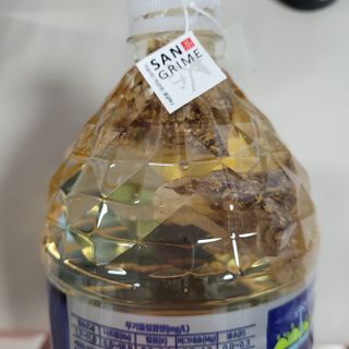 도미노님이 올린 리뷰 사진 3