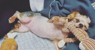 달콩마녀님이 올린 리뷰 사진 3