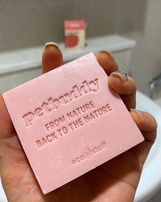 소담스퀘어 상암 주식회사 에코스터프 펫버디 반려동물 마누카 검은콩 프로틴 샴푸바 — 5점을 준 리뷰어가 2022년 12월 올린 사용 사진