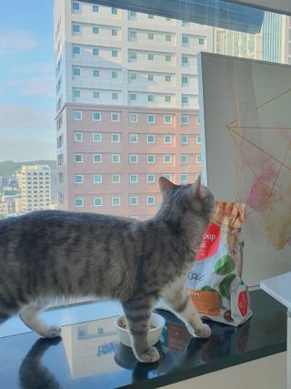 Jihanette님이 올린 리뷰 사진 2
