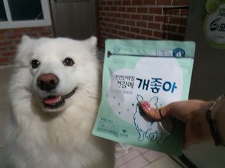 My Pet Care 천연단백질 눈건강에 개좋아 — 5점을 준 리뷰어가 2021년 3월 올린 사용 사진