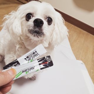 여늬님이 올린 리뷰 사진 2