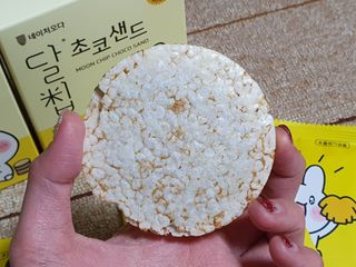 네이처오다 달칩 초코샌드 — 5점을 준 리뷰어가 2021년 1월 올린 사용 사진