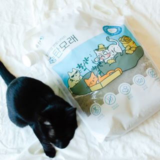 2019yaap님이 올린 리뷰 사진 3