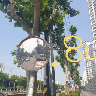 선뚱이님이 올린 리뷰 사진 2